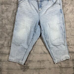 Lane Bryant Light Blue Ankle Jeans Size 16